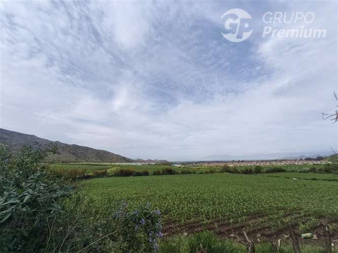 VENTA Lote 1 2.906 m con rol propio Chicureo Norte - Imagen 3