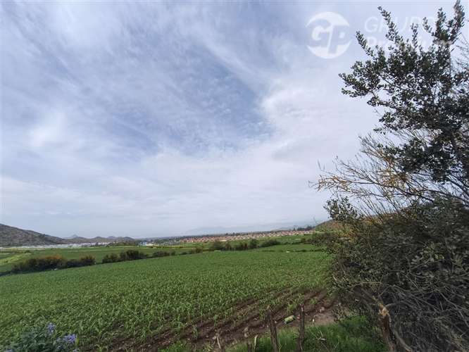 Venta, Lote 5 2.067 m con rol propio Chicureo Norte - Imagen 3