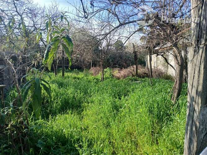 Sitio en venta en Linares - Imagen 18