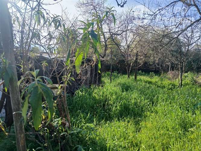 Sitio en venta en Linares - Imagen 19