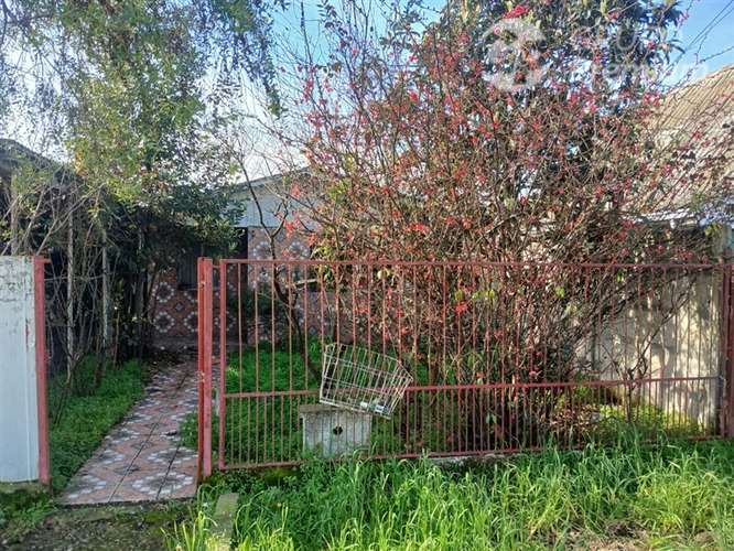Sitio en venta en Linares - Imagen 3