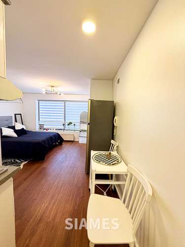 arriendo studio amoblado metro Pedro de Valdivia (186035) - Imagen 7