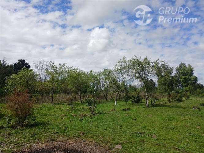 Parcela en venta en Linares - Imagen 3
