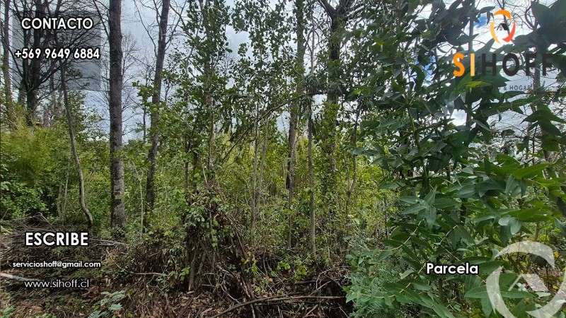Se Vende Parcela en Sector Recinto, Comuna de Pinto - Imagen 9