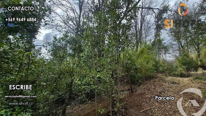 Se Vende Parcela en Sector Recinto, Comuna de Pinto - Imagen 6