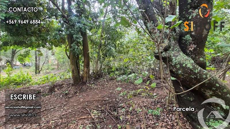 Se Vende Parcela en Sector Recinto, Comuna de Pinto - Imagen 5