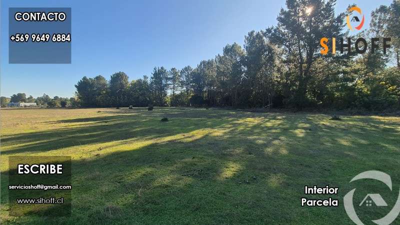 Se Vende Parcela en Sector Tejeria, Pinto - Imagen 6