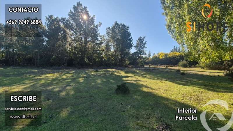 Se Vende Parcela en Sector Tejeria, Pinto - Imagen 5