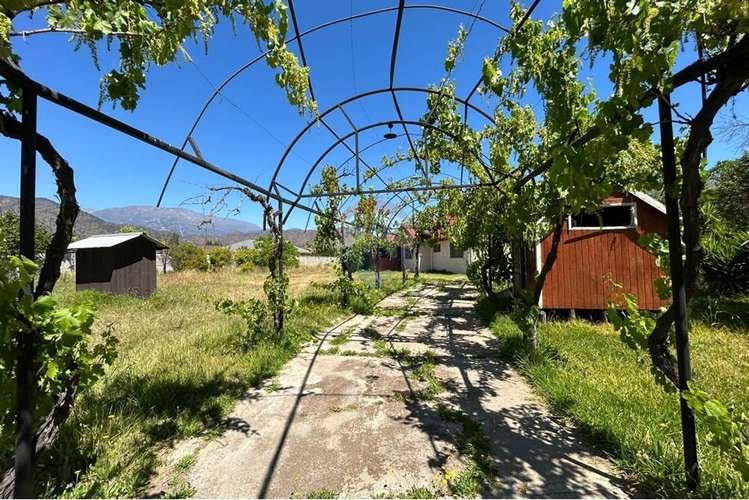 En venta parcela de 5000 mts con casa. - Imagen 21