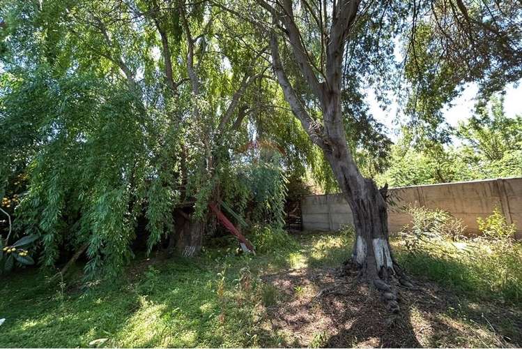 En venta parcela de 5000 mts con casa. - Imagen 20