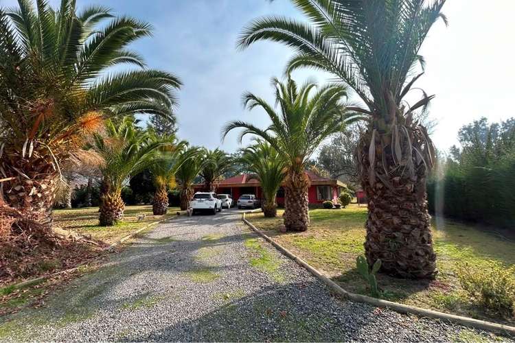 Parcela en venta en lomas del águila - Imagen 4
