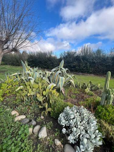 IMPERDIBLE! PARCELA CON 2 CASAS, PISCINA Y JARDÍN - Imagen 8