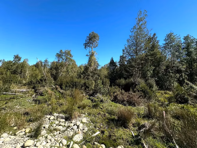 OPORTUNIDAD TERRENOS INDÍGENAS A 15 MILLONES LA HECTÁREA