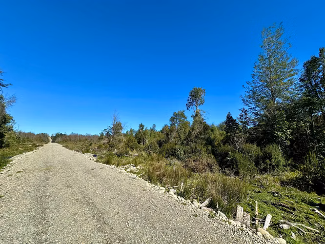 OPORTUNIDAD TERRENOS INDÍGENAS A 15 MILLONES LA HECTÁREA