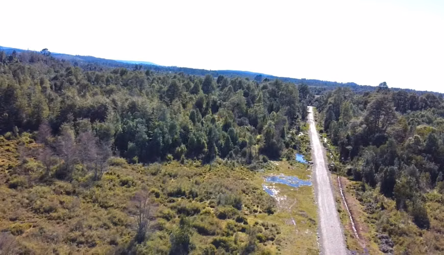 OPORTUNIDAD TERRENOS INDÍGENAS A 15 MILLONES LA HECTÁREA