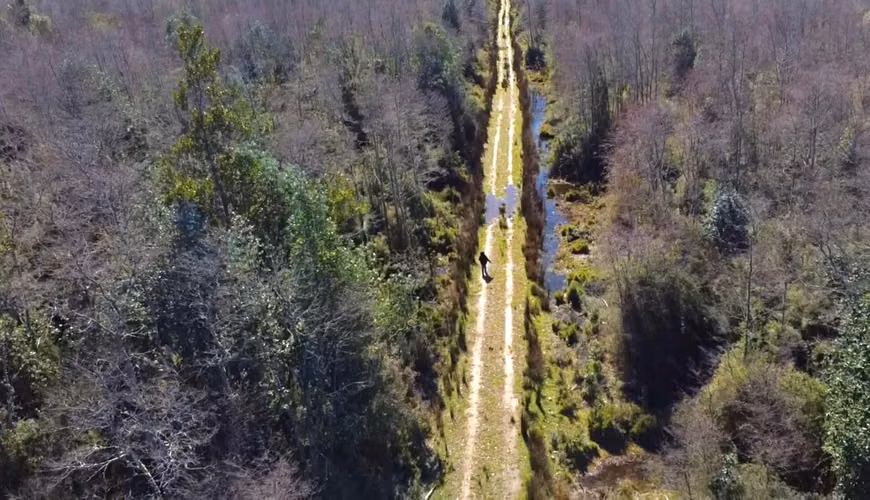 OPORTUNIDAD TERRENOS INDÍGENAS A 15 MILLONES LA HECTÁREA