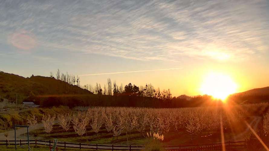 Terreno agrícola con derechos de agua, casa y piscina
