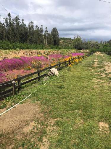 Terreno agrícola con derechos de agua, casa y piscina