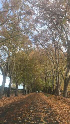 Terreno agrícola con derechos de agua, casa y piscina