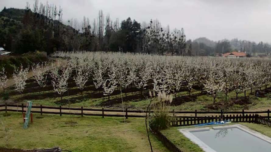 Terreno agrícola con derechos de agua, casa y piscina