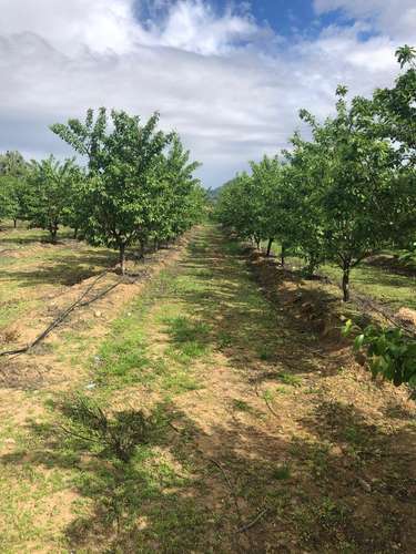 Terreno agrícola con derechos de agua, casa y piscina