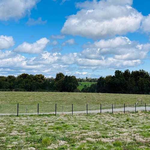 OFERTA!!!VENDE PARCELA 5.000 m² EN CONDOMINIO DON OTTO – PUERTO VARAS