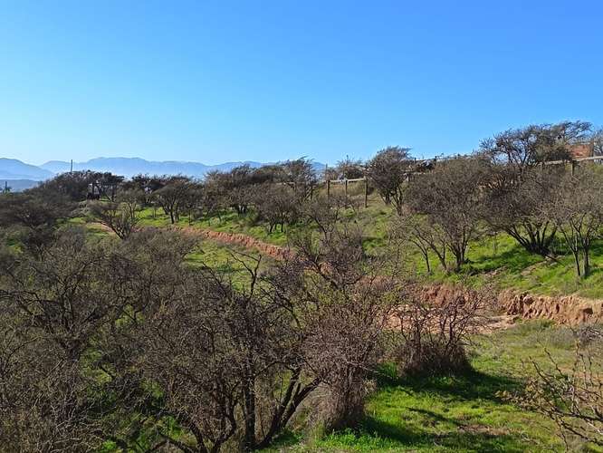 Terreno en Limache, cercano al peaje los Laureles.