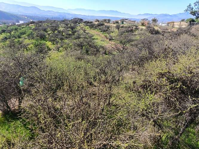 Terreno en Limache, cercano al peaje los Laureles.