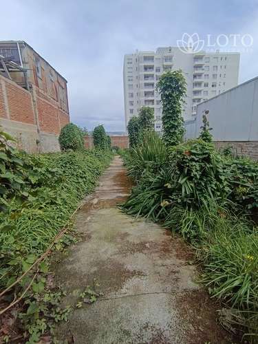 Venta de casa céntrica 4 dormitorios. Excelente sector de Placeres - Imagen 19