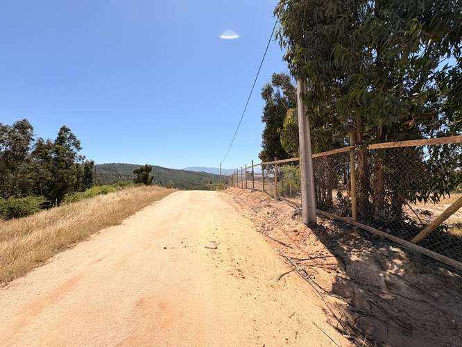 Venta de Terreno plano y extenso en venta Belloto norte
