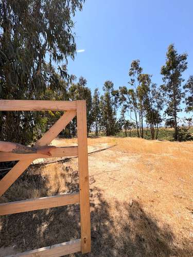 Venta de Terreno plano y extenso en venta Belloto norte