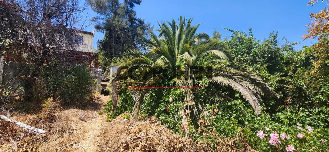 Se vende terreno en Quilpué - Imagen 10