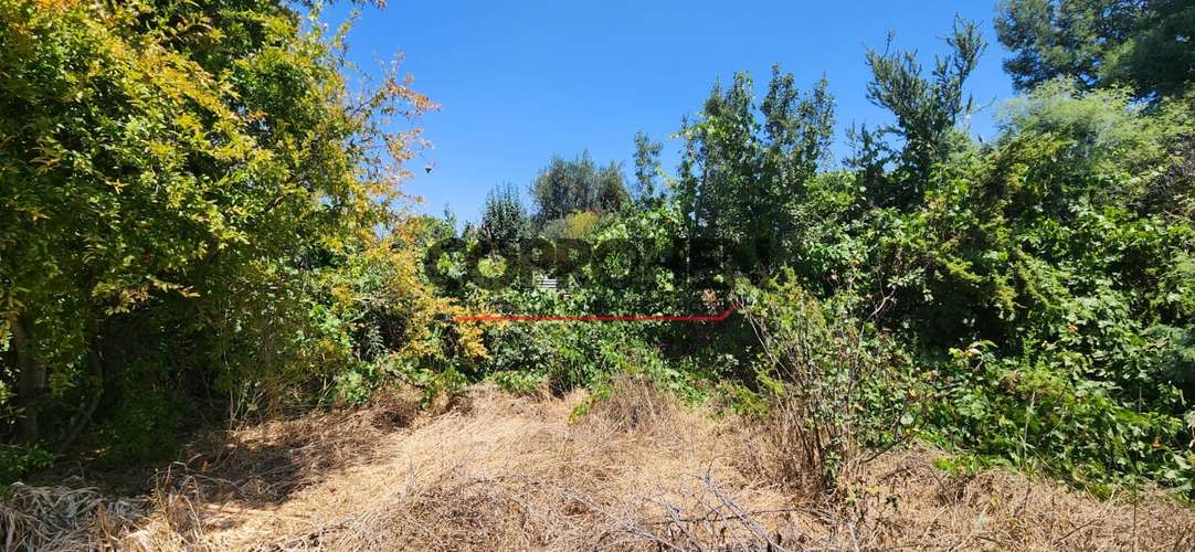 Se vende terreno en Quilpué - Imagen 6