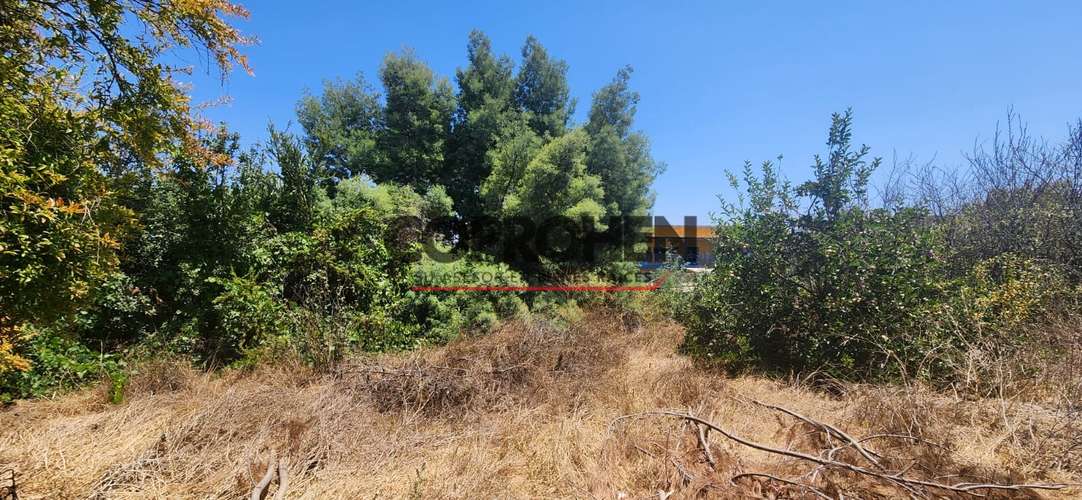 Se vende terreno en Quilpué - Imagen 9