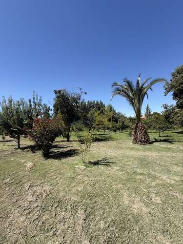 Casa en Arriendo  en Olivar