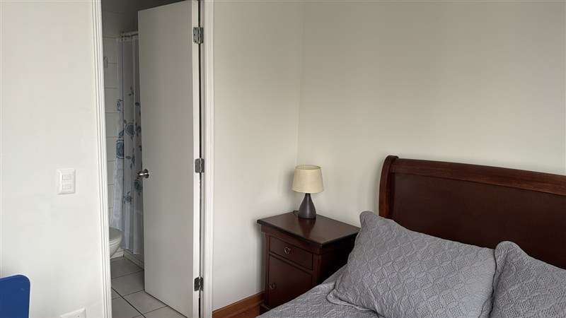 Acogedor depto. amoblado 1 dorm. en Metro Sta Isabel - Imagen 6