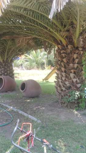 Parcela de 1 Hectárea en El Recurso, Buin | Piscina, Pozo y Paneles Solares