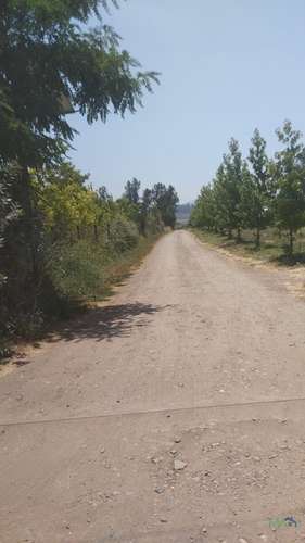 Parcela de 1 Hectárea en El Recurso, Buin | Piscina, Pozo y Paneles Solares