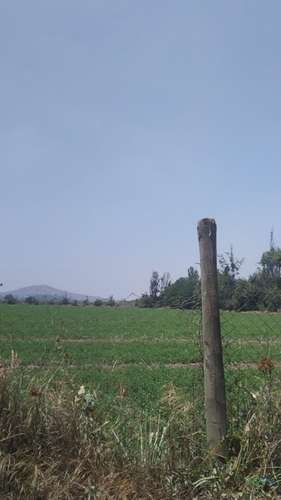 Parcela de 1 Hectárea en El Recurso, Buin | Piscina, Pozo y Paneles Solares
