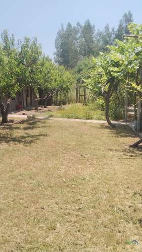 Parcela de 1 Hectárea en El Recurso, Buin | Piscina, Pozo y Paneles Solares