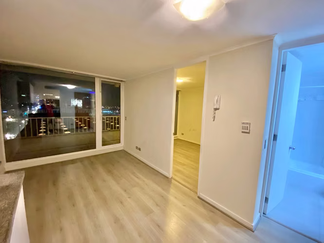 Céntrico Departamento 1 Dormitorio, Con Bodega, Concepción.
