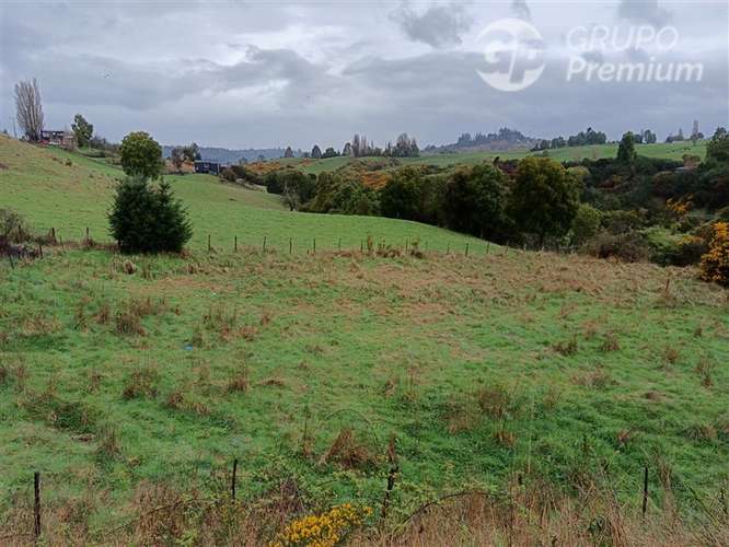 ARRIENDO MENSUAL A CONTAR DEL 01 - DIC - 2026 - LLAU LLAO