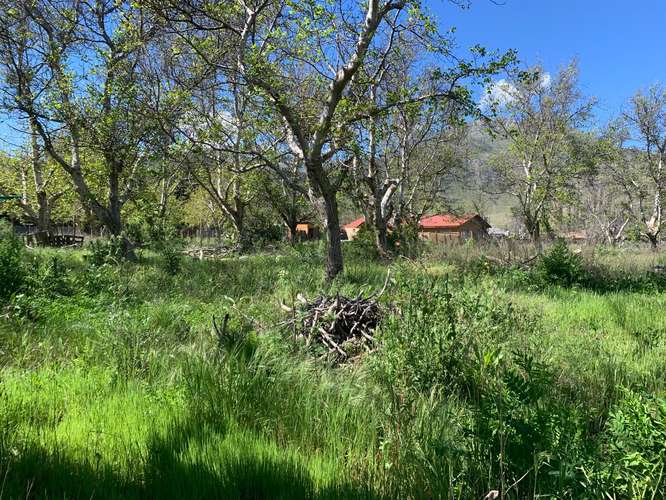 Calle Larga – Parcela 5.030 m² Riego – Cerca de Los Andes - Imagen 5