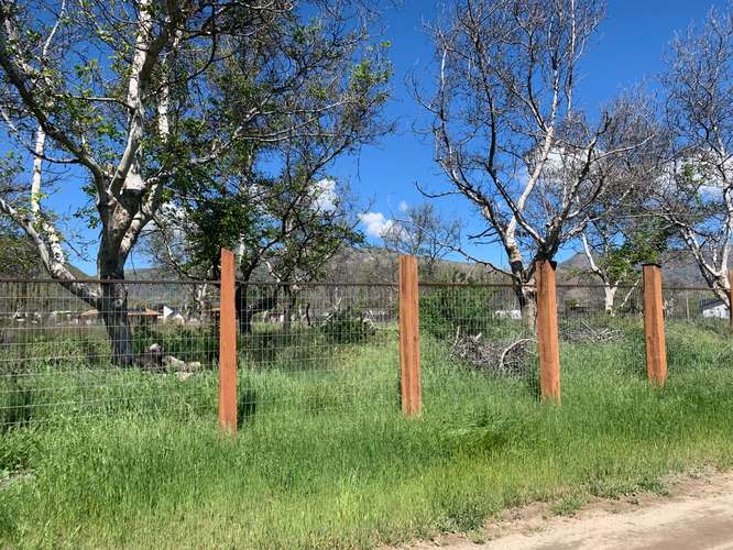 Calle Larga – Parcela 5.030 m² Riego – Cerca de Los Andes - Imagen 3