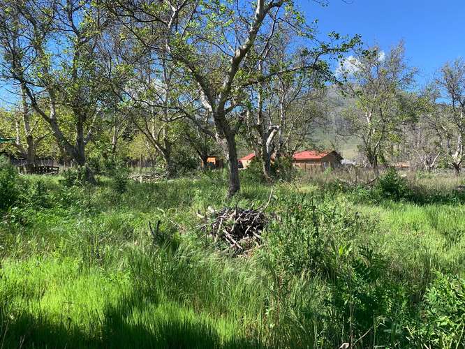Calle Larga – Parcela 5.030 m² Riego – Cerca de Los Andes - Imagen 9