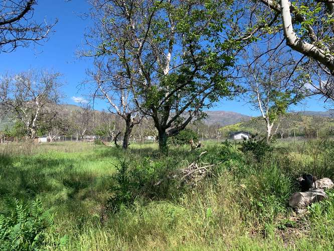 Calle Larga – Parcela 5.030 m² Riego – Cerca de Los Andes