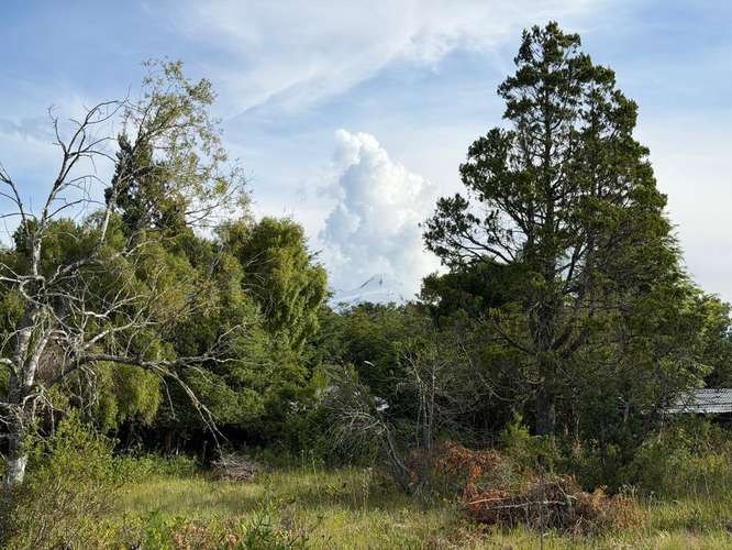 Pucón – Parcela 5.000 m² Agua propia – Pasaje El Triunfo