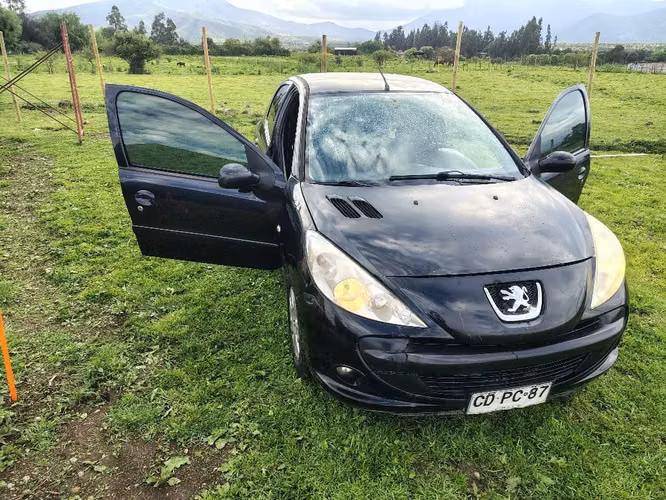 Peugeot 207 año 2010