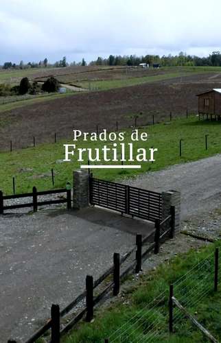 Oportunidad para invertir en una propiedad (186166)