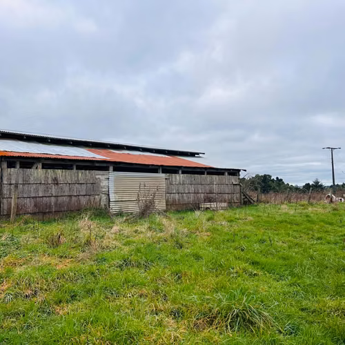 Propiedad Rural 10 Has El Roble - Galpón, Praderas y Bosque Nativo | Oportunidad de Inversión